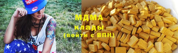 индика Новозыбков