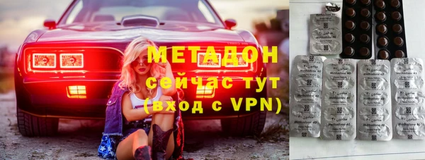 индика Новозыбков