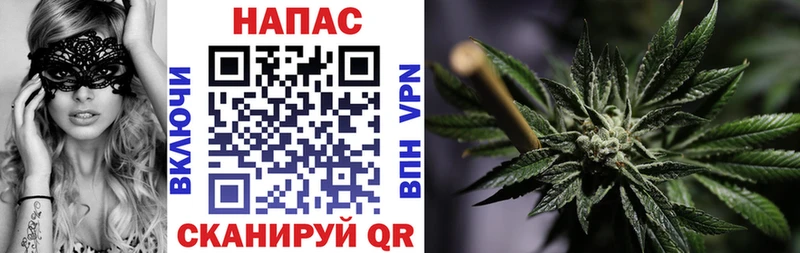 Бошки Шишки ГИДРОПОН  Сокол 